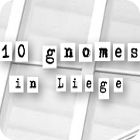 10 Gnomes in Liege spēle
