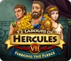 12 Labours of Hercules VII: Fleecing the Fleece spēle