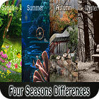 Four Seasons Differences spēle