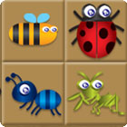 Bug Box spēle