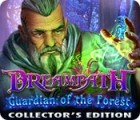 Dreampath: Guardian of the Forest Collector's Edition spēle