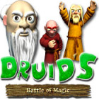 Druid's Battle of Magic spēle