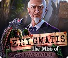 Enigmatis: The Mists of Ravenwood spēle
