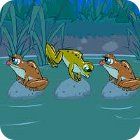 Frog Tag spēle Frog Tag spēle