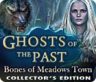 Ghosts of the Past: Bones of Meadows Town Collector's Edition spēle