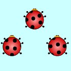 Ladybug Pair Up spēle