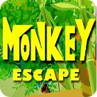 Monkey Escape spēle