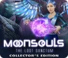 Moonsouls: The Lost Sanctum Collector's Edition spēle