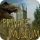 Private Museum spēle