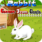 Rabbit Escape From Eagle spēle