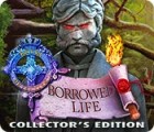 Royal Detective: Borrowed Life Collector's Edition spēle