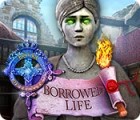 Royal Detective: Borrowed Life spēle