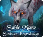 Sable Maze: Sinister Knowledge Collector's Edition spēle
