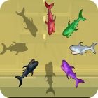 Shark Hunter spēle Shark Hunter spēle