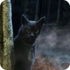 The Curse of the Werewolves Collector's Edition spēle The Curse of the Werewolves Collector's Edition spēle