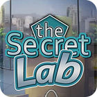 The Secret Lab spēle