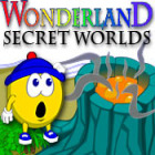 Wonderland Secret Worlds spēle