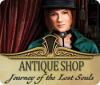 Antique Shop: Journey of the Lost Souls spēle