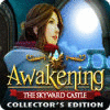 Awakening: The Skyward Castle Collector's Edition spēle