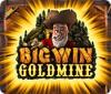 Big Win Goldmine spēle