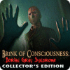 Brink of Consciousness: Dorian Gray Syndrome Collector's Edition spēle
