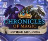 Chronicles of Magic: The Divided Kingdoms spēle