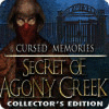 Cursed Memories: The Secret of Agony Creek Collector's Edition spēle