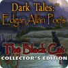 Dark Tales: Edgar Allan Poe's The Black Cat Collector's Edition spēle
