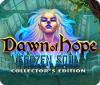 Dawn of Hope: The Frozen Soul Collector's Edition spēle