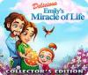 Delicious: Emily's Miracle of Life Collector's Edition spēle