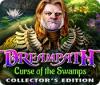 Dreampath: Curse of the Swamps Collector's Edition spēle
