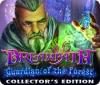 Dreampath: Guardian of the Forest Collector's Edition spēle