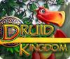 Druid Kingdom spēle