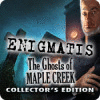 Enigmatis: The Ghosts of Maple Creek Collector's Edition spēle