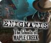 Enigmatis: The Ghosts of Maple Creek spēle
