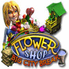 Flower Shop: Big City Break spēle