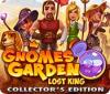 Gnomes Garden: Lost King Collector's Edition spēle