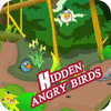 Hidden Angry Birds spēle
