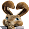 Hop: Easter Bunny Coloring spēle
