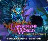 Labyrinths of the World: Hearts of the Planet Collector's Edition spēle