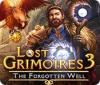 Lost Grimoires 3: The Forgotten Well spēle