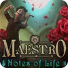 Maestro: Notes of Life Collector's Edition spēle