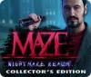 Maze: Nightmare Realm Collector's Edition spēle