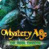 Mystery Age: The Dark Priests spēle