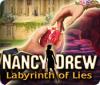 Nancy Drew: Labyrinth of Lies spēle