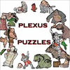 Plexus Puzzles spēle