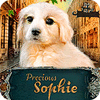 Precious Sophie spēle