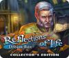 Reflections of Life: Dream Box Collector's Edition spēle