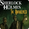 Sherlock Holmes: The Awakened spēle