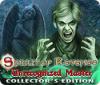Spirit of Revenge: Unrecognized Master Collector's Edition spēle